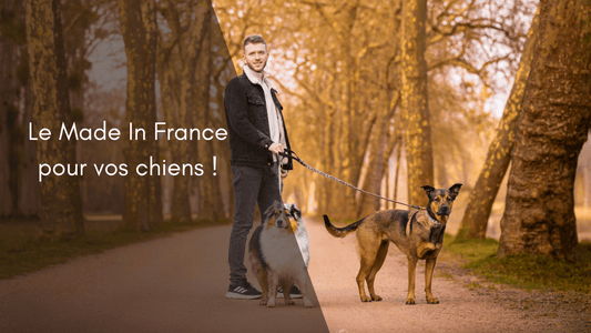🇫🇷 Pourquoi le Made in France change tout (même pour les chiens) - Fidèle Paris