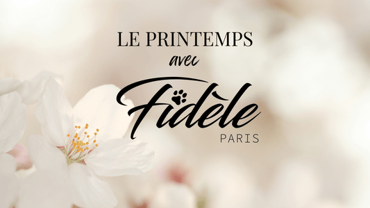 Préparer son chien au printemps : conseils et accessoires Fidèle Paris - Fidèle Paris