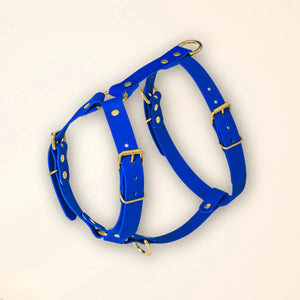 Harnais pour chien - Bleu roi