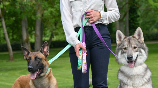 Laisse pour chien "The Bloom édition" - Vert