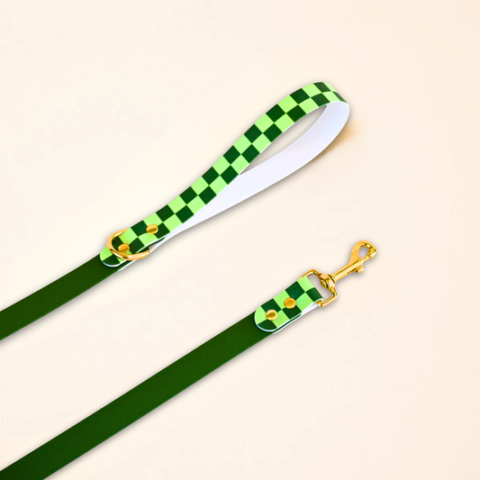 Laisse pour chien "Damier" - Vert
