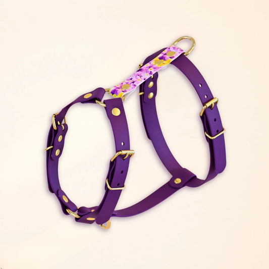 Harnais pour chien "The Bloom édition" - Violet