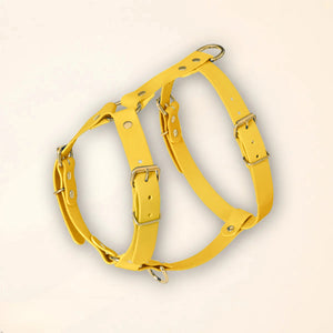 Harnais pour chien - Jaune