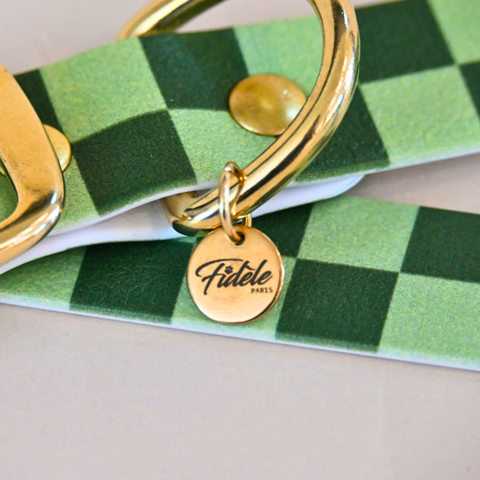 Collier pour chien "Damier" - Vert