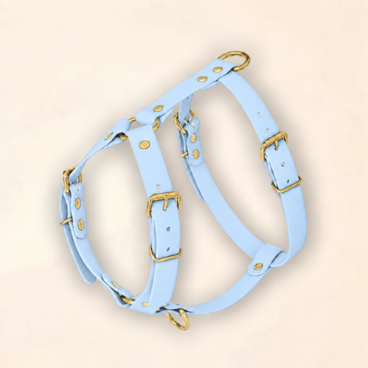 Harnais pour chien - Bleu Glacial
