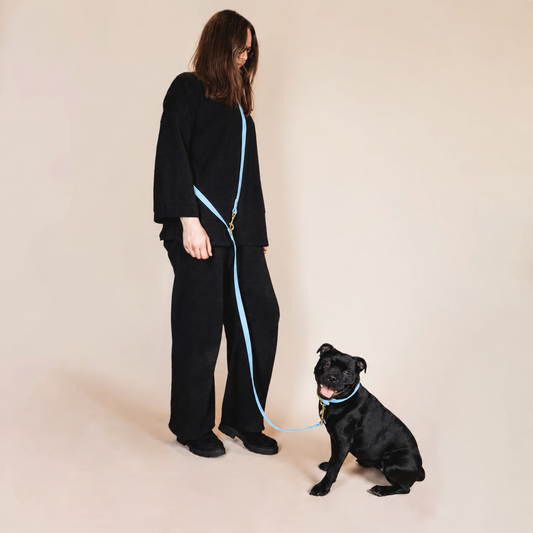 Laisse multi-positions pour chien - Bleu glacial