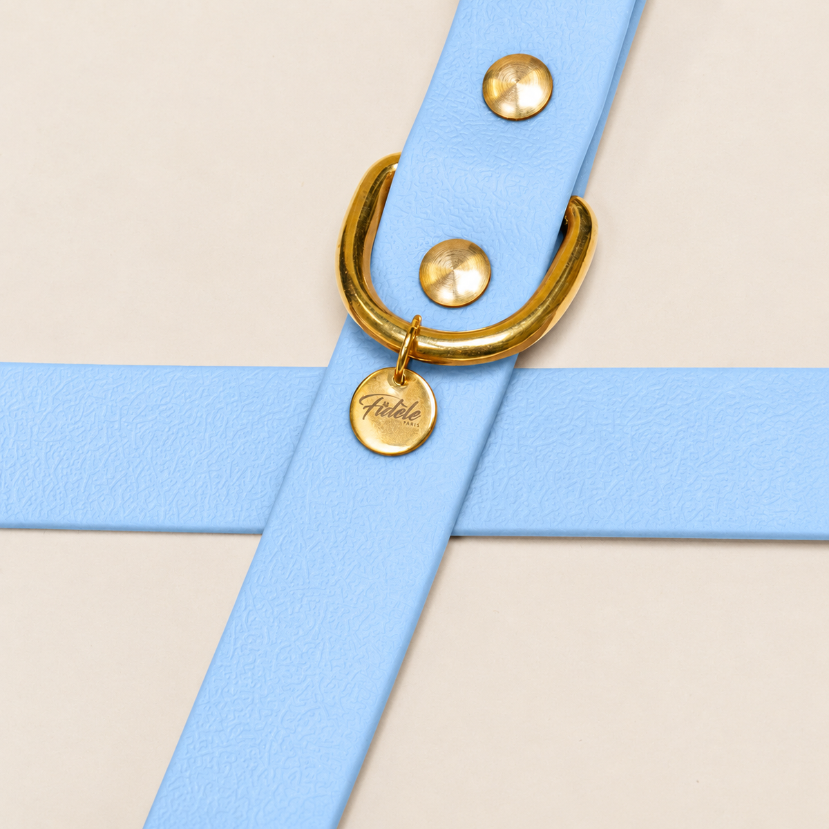 Laisse pour chien - Bleu Glacial