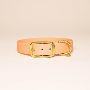 Collier pour chien - Abricot