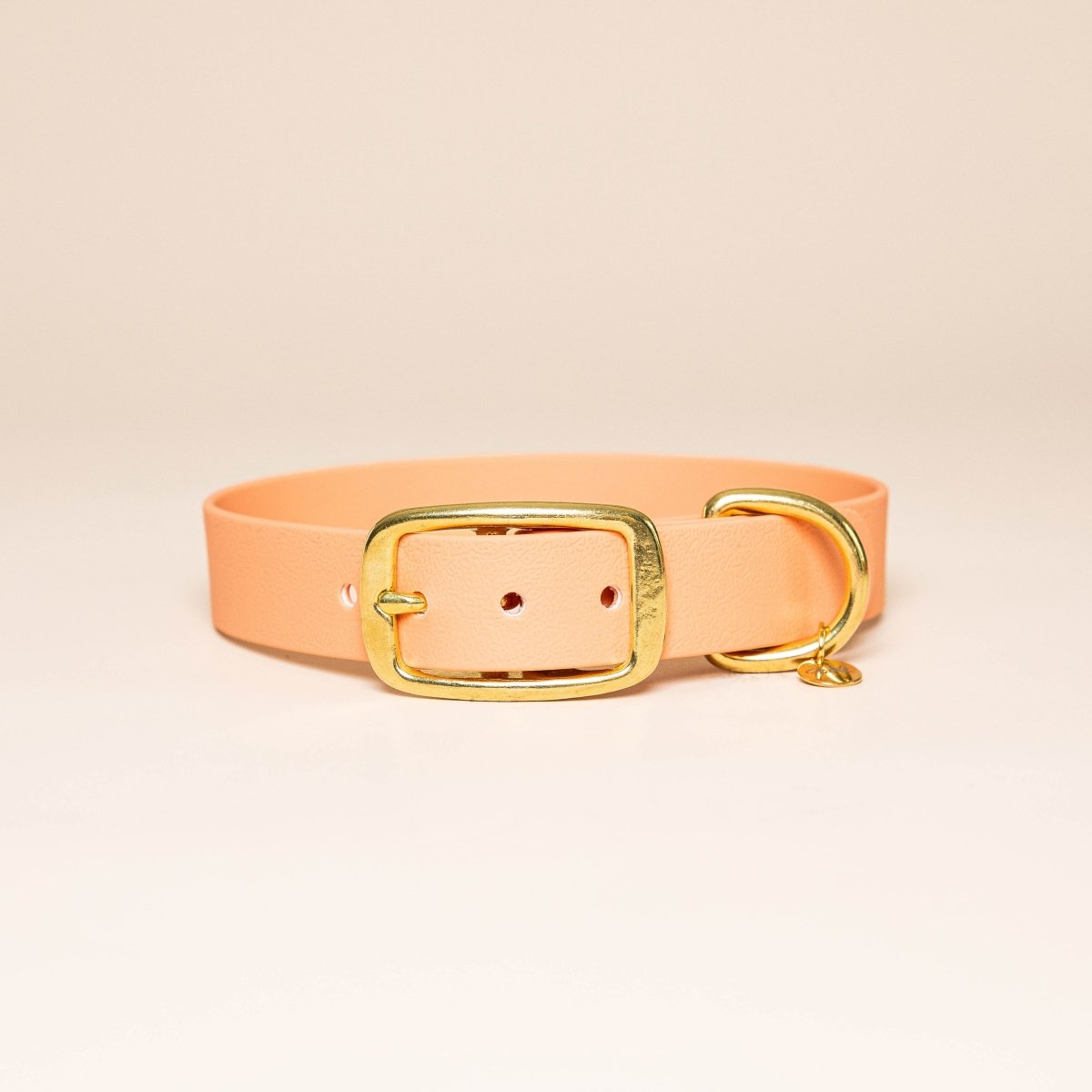 Collier Pour Chien Asiatique Porte-bonheur - Imperméable, Taille Réglable M (26-46 Cm) - Griffe De La Chance