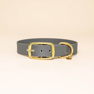 Collier pour chien - Gris acier