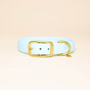 Collier pour chien - Bleu ciel