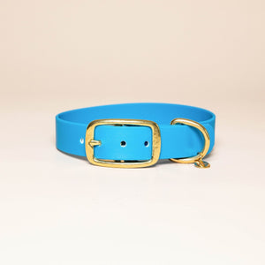 Collier pour chien - Bleu électrique