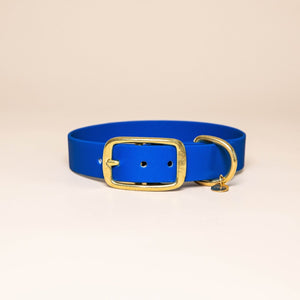 Collier pour chien - Bleu roi