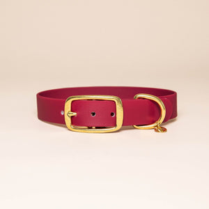 Collier pour chien - Bordeaux
