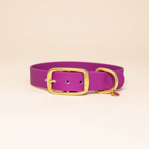 Collier pour chien - Rose fuchsia