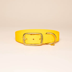 Collier pour chien - Jaune