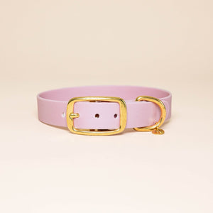 "The adventurer" necklace - Baby rose