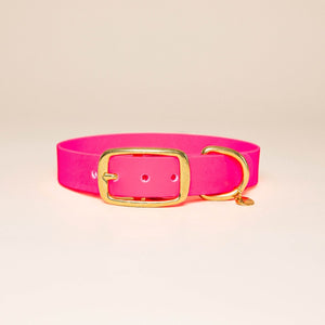 Collier pour chien - Rose fluo