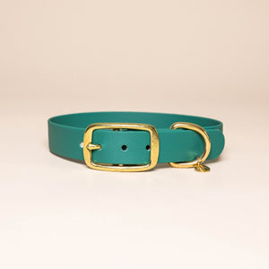 Collier pour chien - Vert parisien