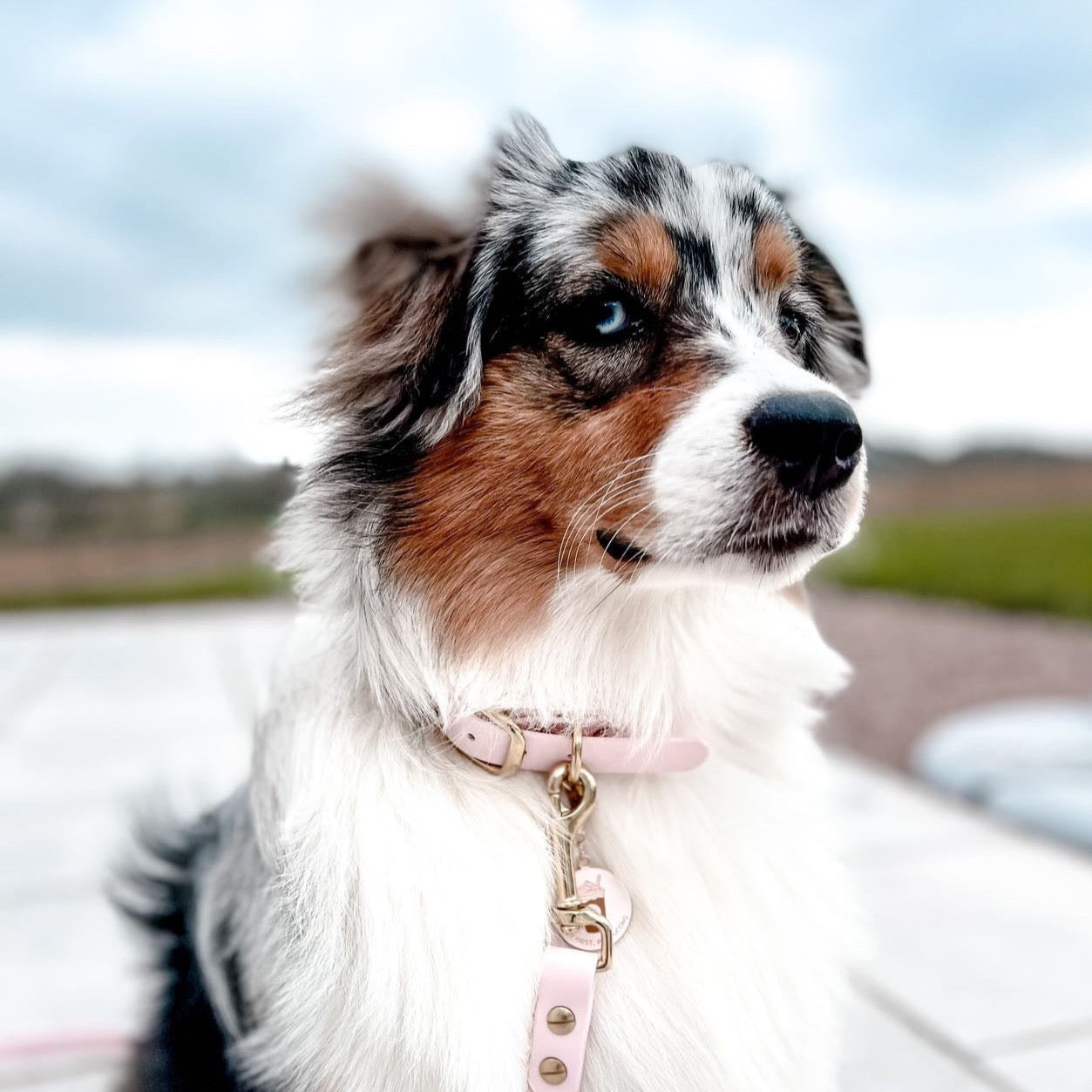 "The adventurer" necklace - Baby rose