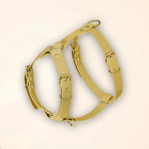 Harnais pour chien - Vert tilleul