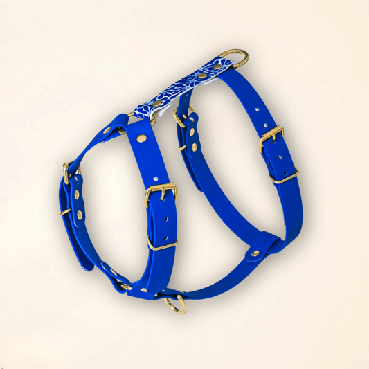 Harnais pour chien - "Zéphyr" - Summer édition - Fidèle Paris