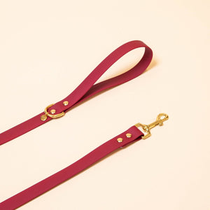 Leash "The adventurer" - Burgundy