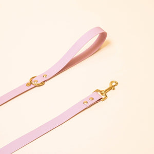 Leash "The Adventurer" - Peacock