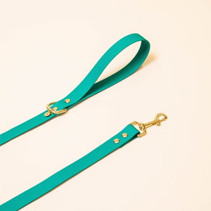 Leash "The Adventurer" - Peacock