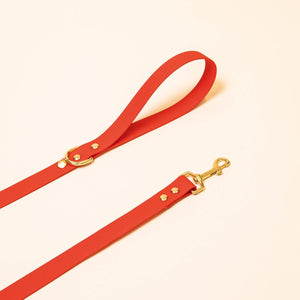 Leash "The adventurer" - Burgundy