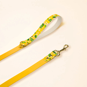 Laisse "LEMON" - Jaune - Édition limitée