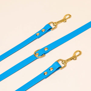 Laisse multi-positions pour chien - Bleu électrique
