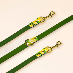 Laisse multi-positions "LEMON" - Olive
