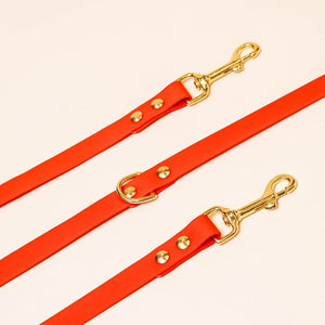 Laisse multi-positions pour chien - Rouge