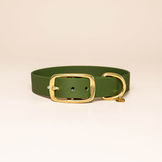 Collier pour chien - Vert olive