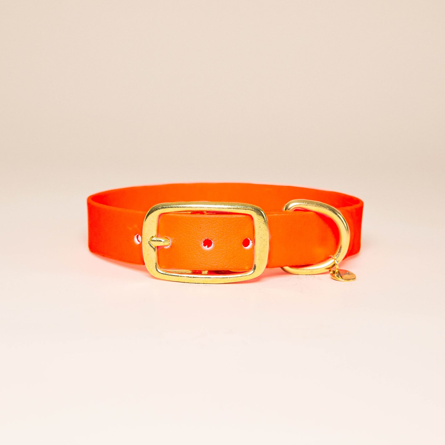 Collier pour chien - Orange fluo