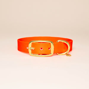 Collier pour chien - Orange fluo