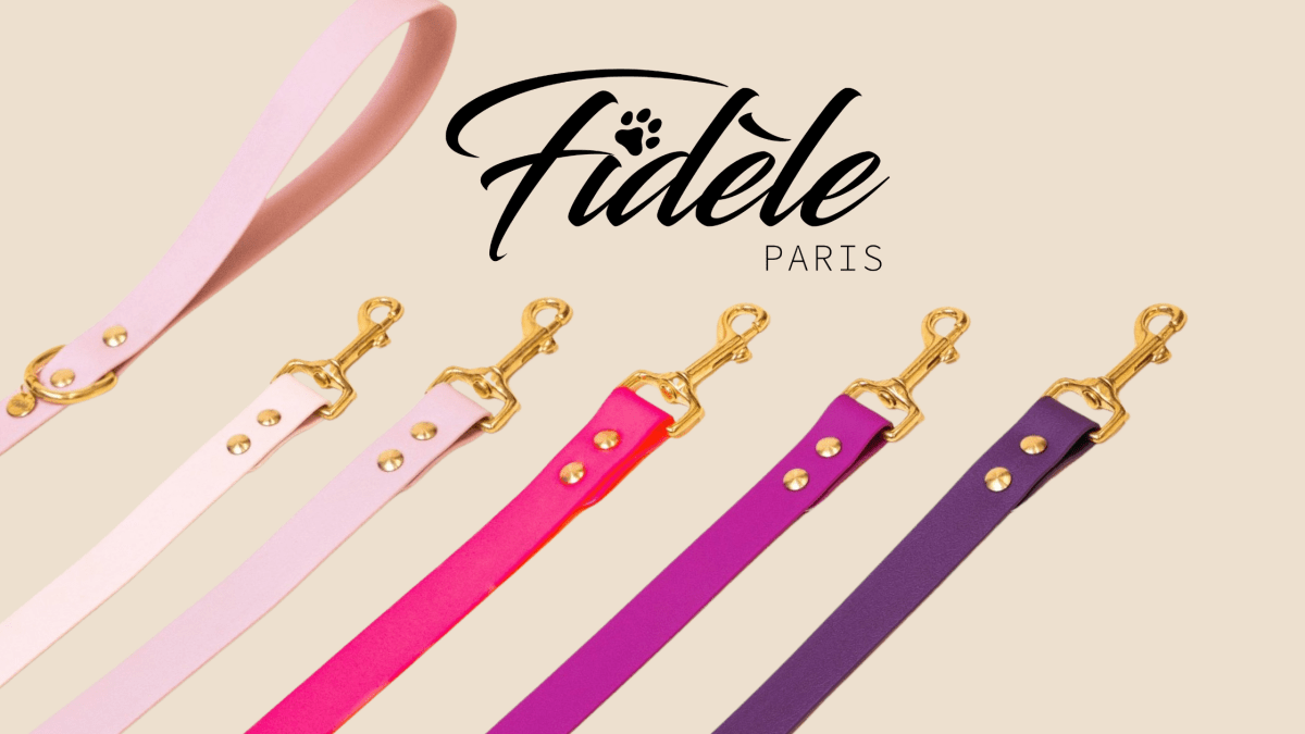 Fidèle en Rose pour la Saint-Valentin : Une Couleur pour Tous les Chiens ! - Fidèle Paris Image