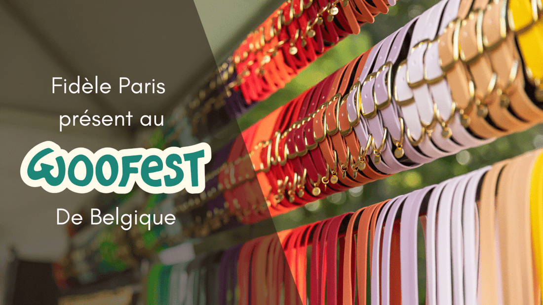 🐾 Fidèle Paris participe au Woofest Belgique 2025 : l’événement à ne pas manquer - Fidèle Paris