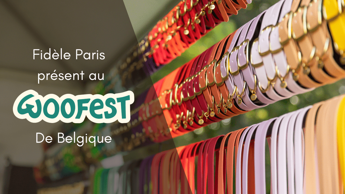 🐾 Fidèle Paris participe au Woofest Belgique 2025 : l’événement à ne pas manquer - Fidèle Paris Image
