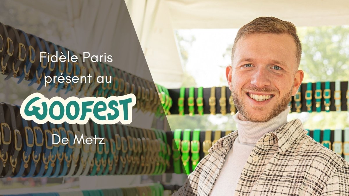 🐾 Fidèle Paris participe au Woofest Metz 2025 : découvrez nos accessoires pour chien en avant-première - Fidèle Paris Image
