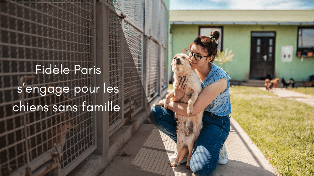 🐾 Offrir du confort aux chiens de refuge : pourquoi Fidèle Paris s’engage - Fidèle Paris Image