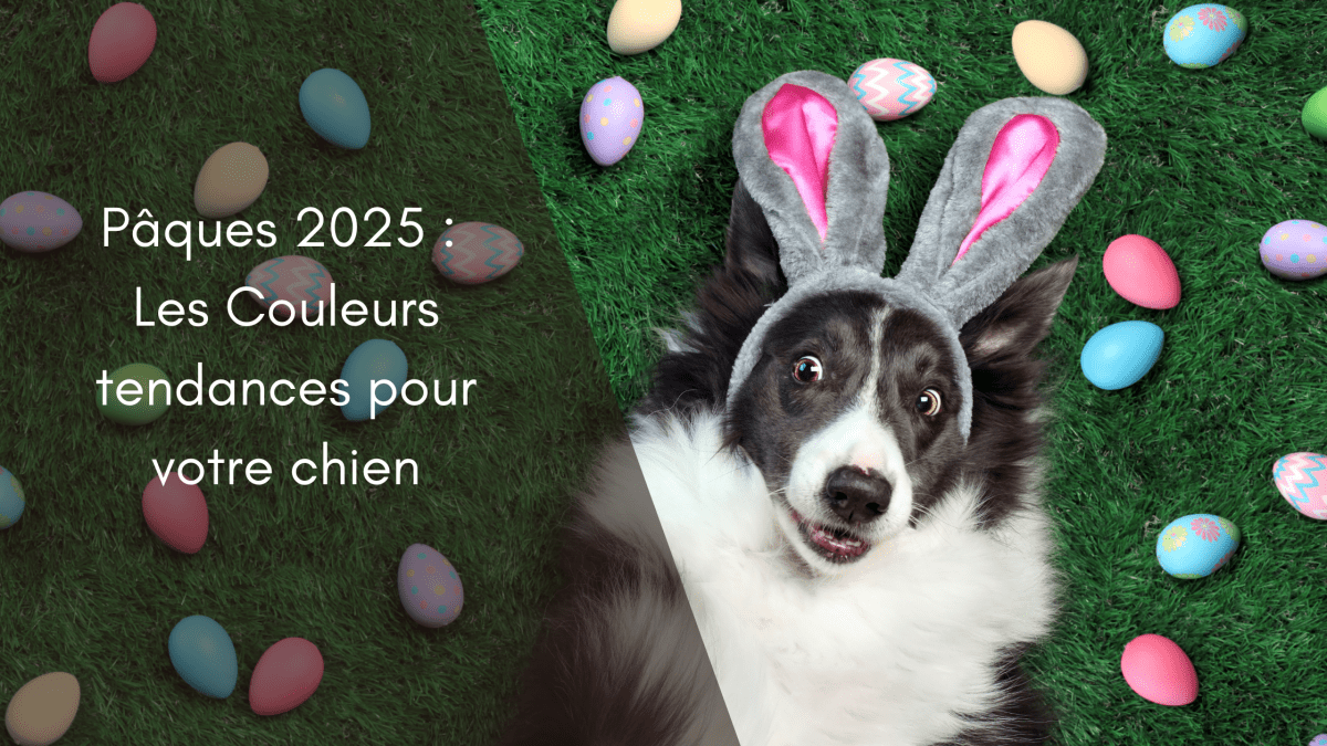 Pâques 2025 : Les Couleurs Tendances pour votre chien - Fidèle Paris Image