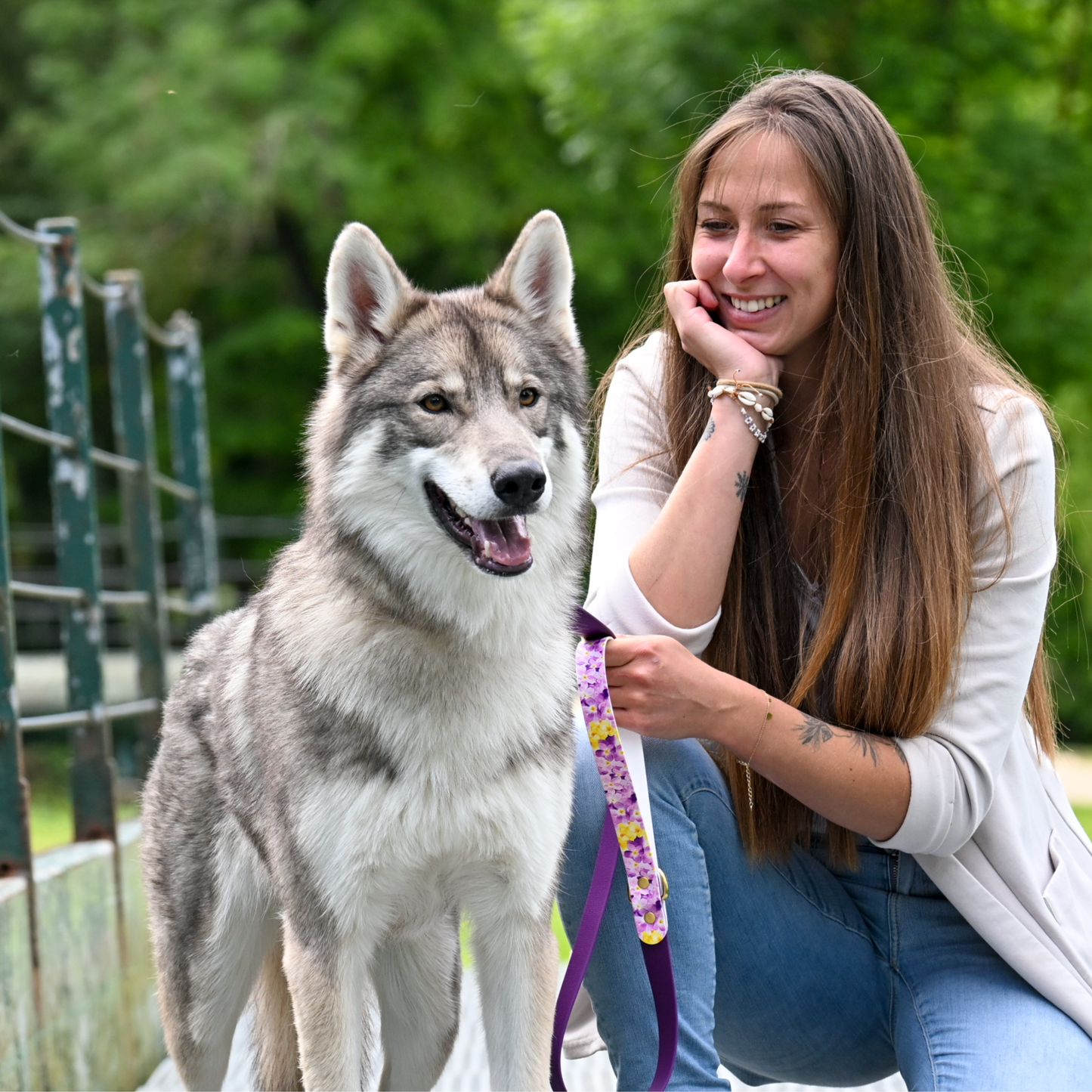 Laisse pour chien "The Bloom édition" - Violet