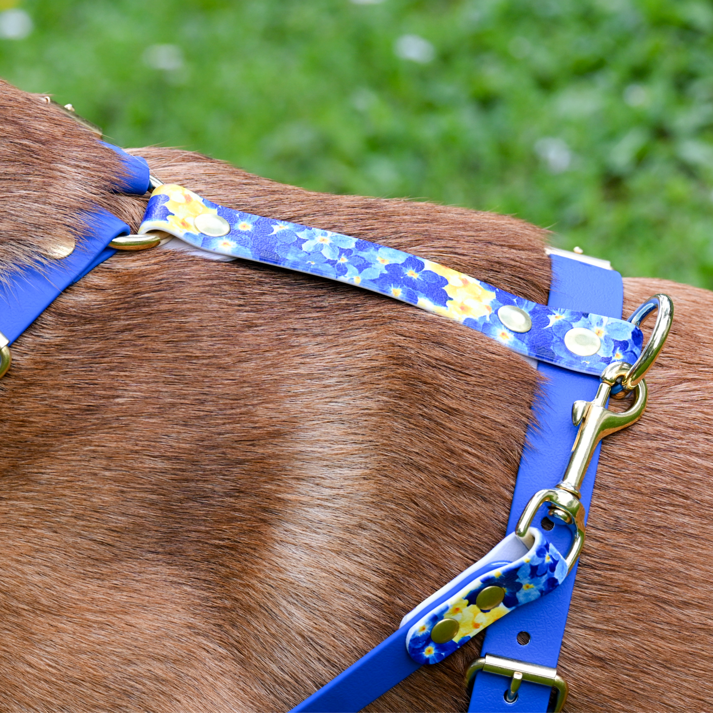 Harnais pour chien "The Bloom édition" - Bleu