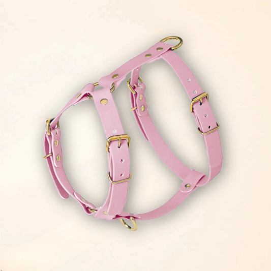 Harnais pour chien - Lilas