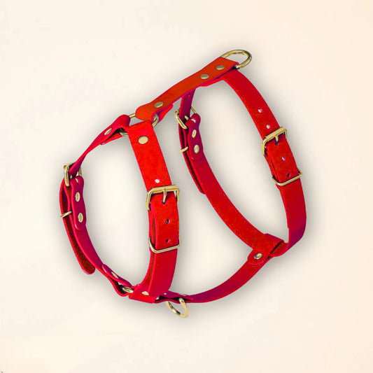 Harnais pour chien - Rouge