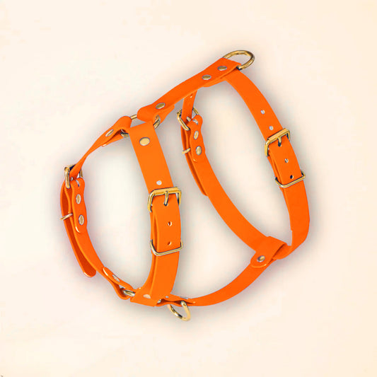 Harnais pour chien - Orange fluo