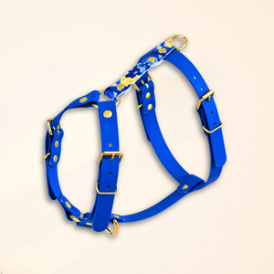 Harnais pour chien "The Bloom édition" - Bleu