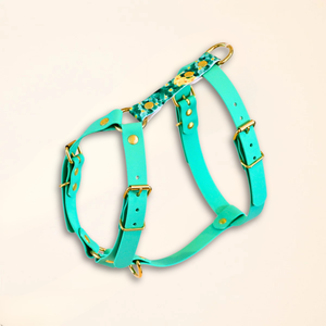 Harnais pour chien "The Bloom édition" - Vert